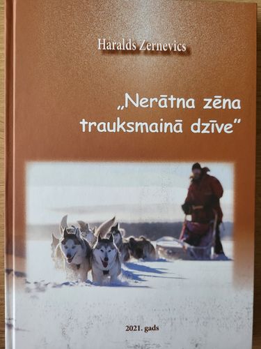 Nerātnā zēna trauksmainā dzīve