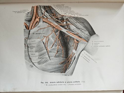 Medicīnas enciklopēdija 20.gs. sākums, I,III,IV,V daļas