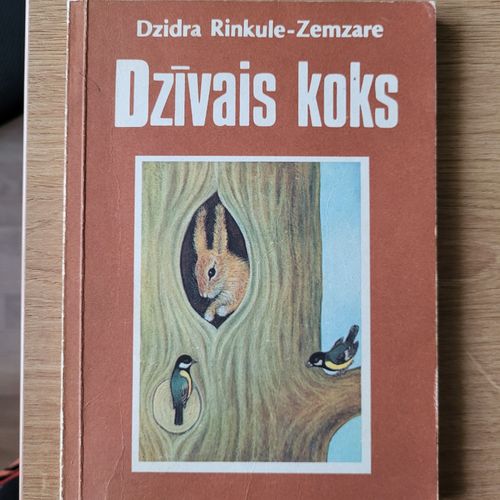 Dzīvais koks