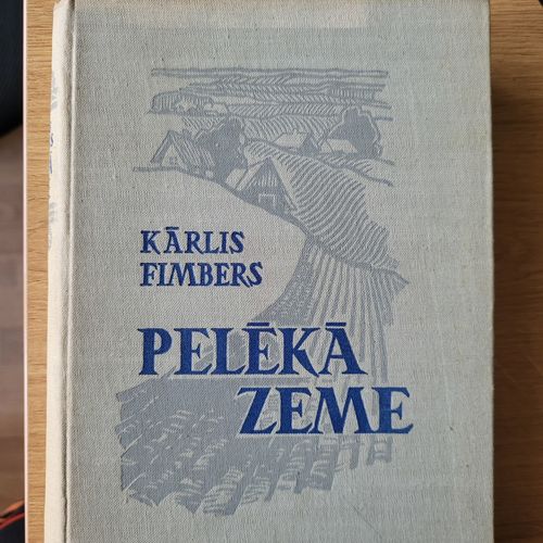 Pelēkā zeme