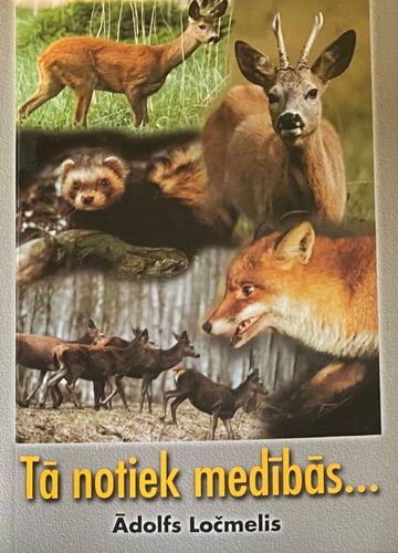 Tā notiek medībās