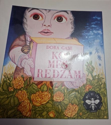 Ko mēs redzam