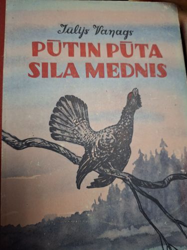 Pūtin pūta sila mednis