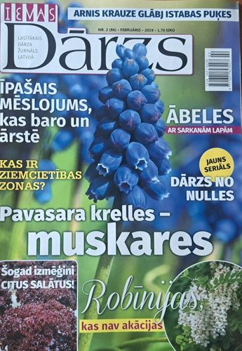 Ievas Dārzs 2/2019