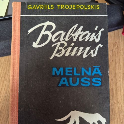 Baltais Bims melnā auss