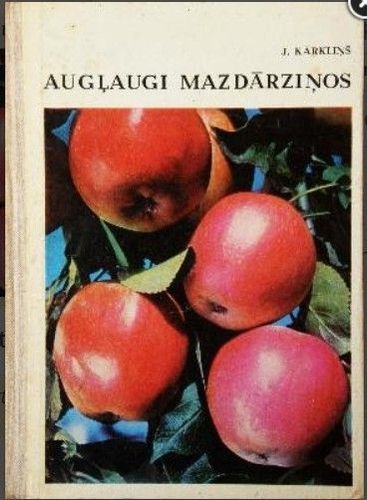 Augļaugi mazdārziņos