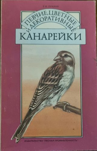 Певчие, цветные и декоративные канарейки 