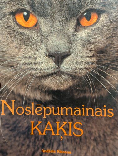 Noslēpumainais kaķis