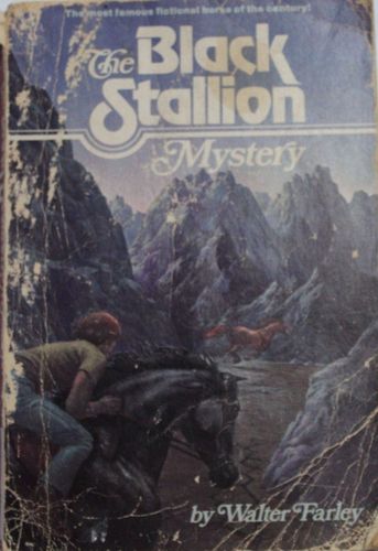 The Black Stallion. Mystery