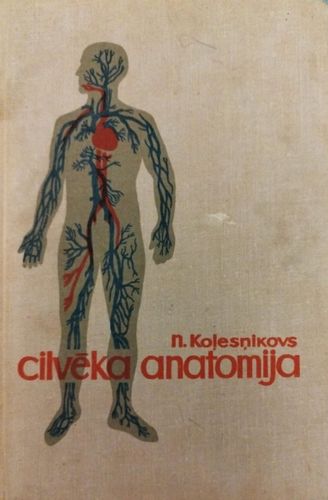 Cilvēka anatomija