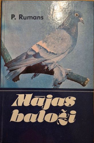Mājas baloži