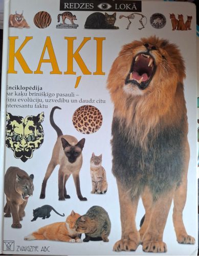 Kaķi