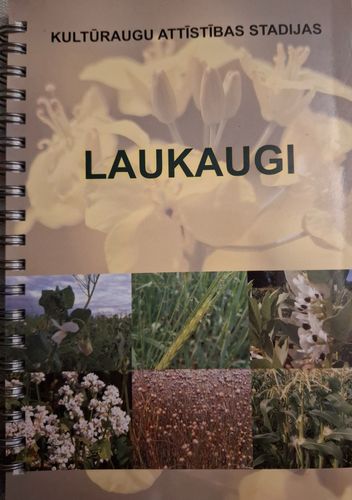 Kultūraugu attīstības stadijas - Laukaugi