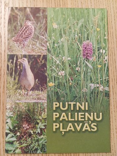 Putni palieņu pļavās 