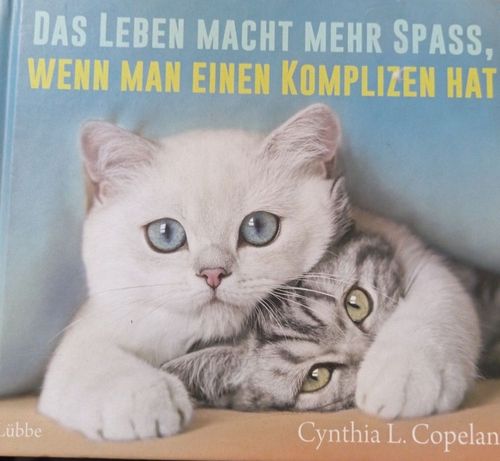 Das leben macht mehr spass, wenn man einen komplizen hat 