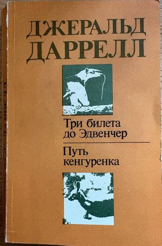 Три билета до Эдвенчер. Путь кенгопенка