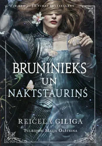 Bruņinieks un naktstauriņš