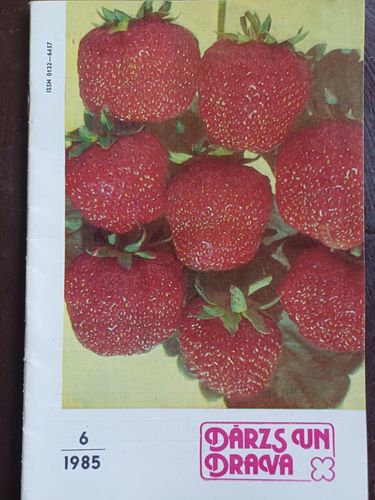 Dārzs un Drava /1985.g./ 6