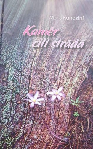 Kamēr citi strādā