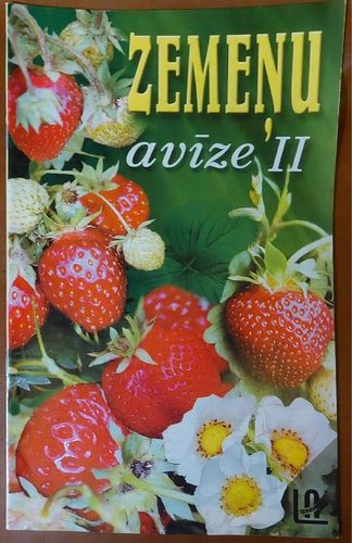 Zemeņu avīze II