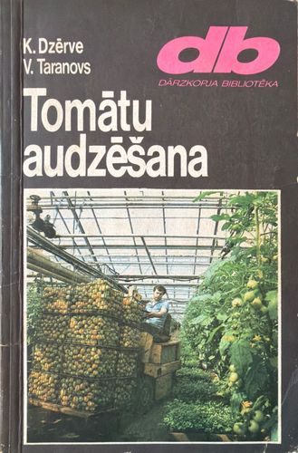 Tomātu audzēšana