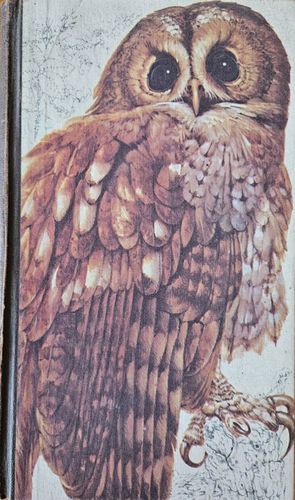 Book of British Birds
