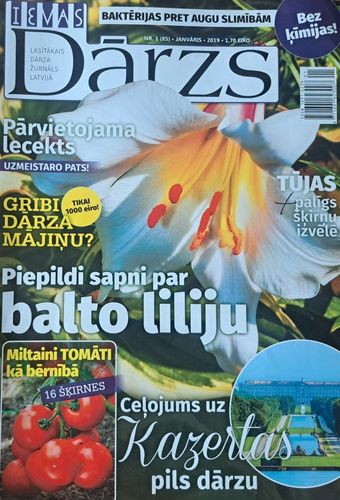Ievas Dārzs 1/2019
