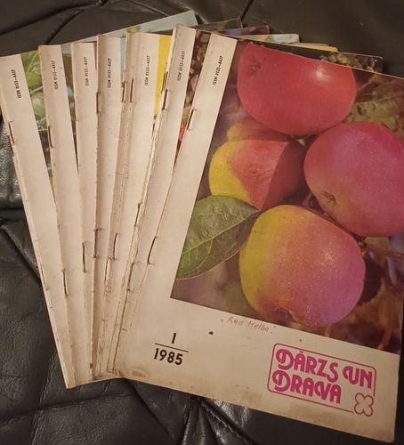 Dārzs un Drava / 1985 / 11gb.