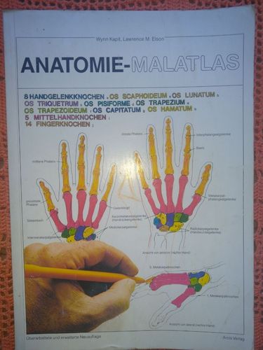 Anatomie-Malatlas 
