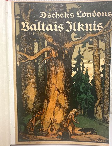 Baltais Ilknis