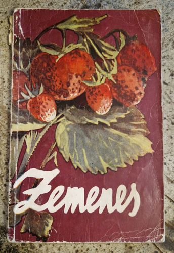 Zemenes 