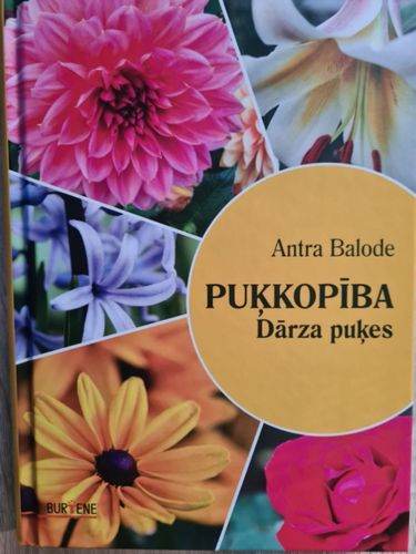 Puķkopība. Dārza puķes.