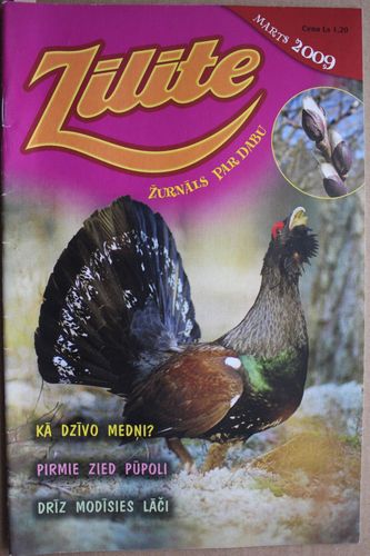 Zīlīte. 2009 g. Nr.marts.
