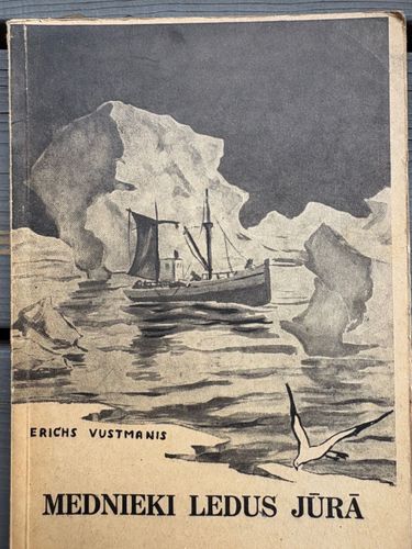 Mednieki ledus jūrā