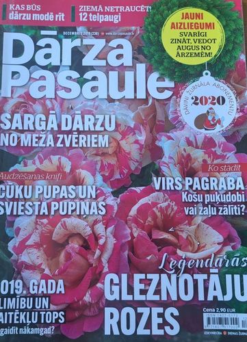 Dārza Pasaule 12/2019