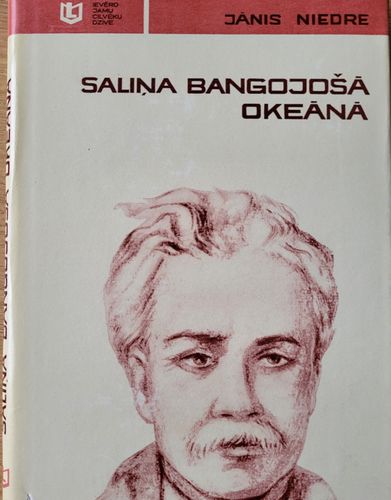 Saliņa bangojošā okeānā