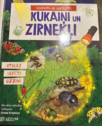 Kukaiņi un zirnekļi. Grāmata ar lukturīti
