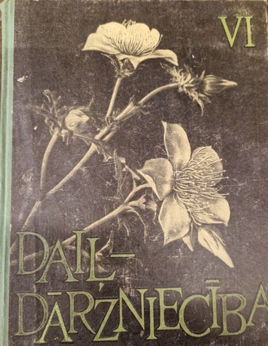 Daiļdārzniecība VI