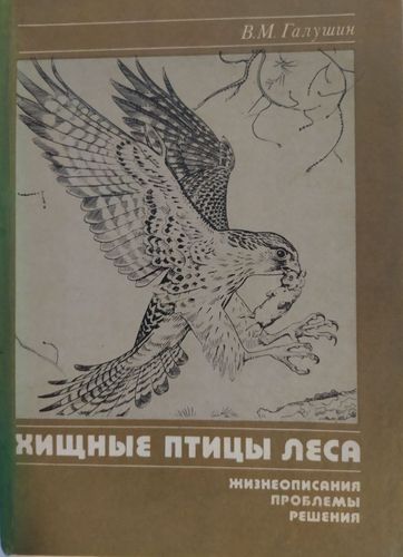 Хищные птицы леса 