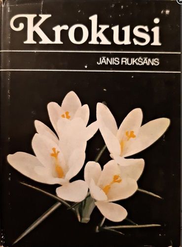 Krokusi