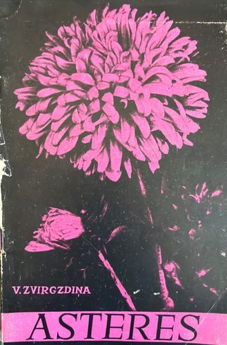 Asteres