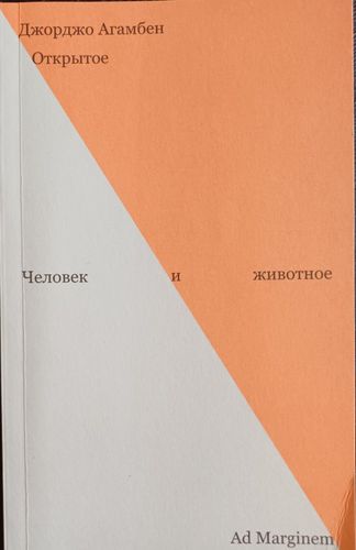 Открытое.Человек и животное.