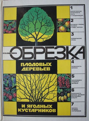 Обрезка плодовых деревьев и ягодных кустарников