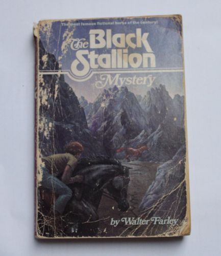 The Black Stallion. Mystery
