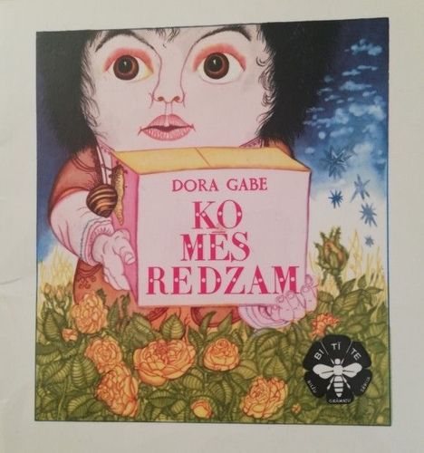 Ko mēs redzam