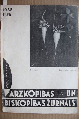 Dārzkopības un Biškopības Žurnāls. 1938 g. Nr.11