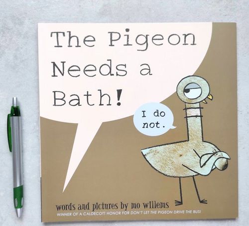 The pigeon needs a bath!
