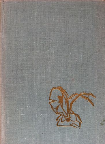 Ziedi, kas ceļmalā vīst