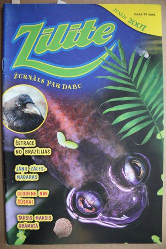 Zīlīte. 2007 g. Nr.  jūnijs.