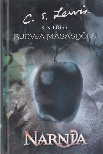 Burvja māsasdēls